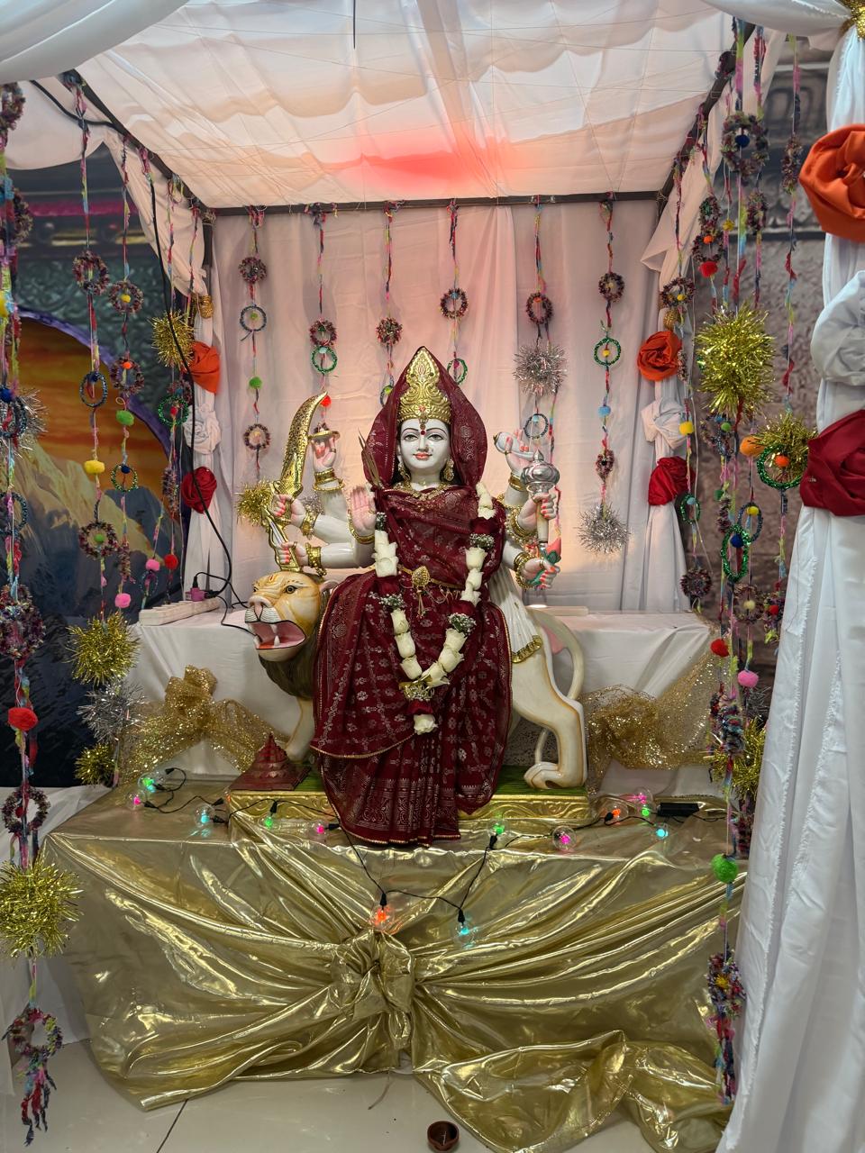 Navaratri 2026 photo 21
